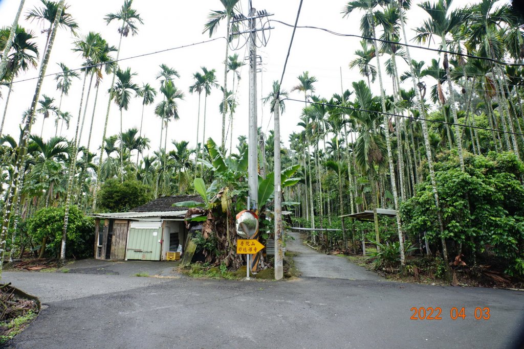 嘉義 中埔 半天寮山_1664819