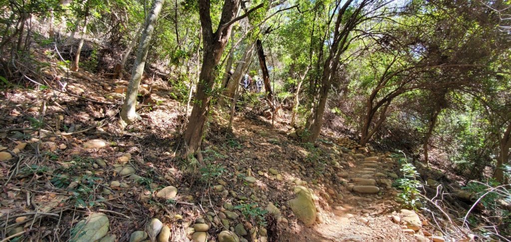 2021-10/17-苗栗三義-火炎山_1492402