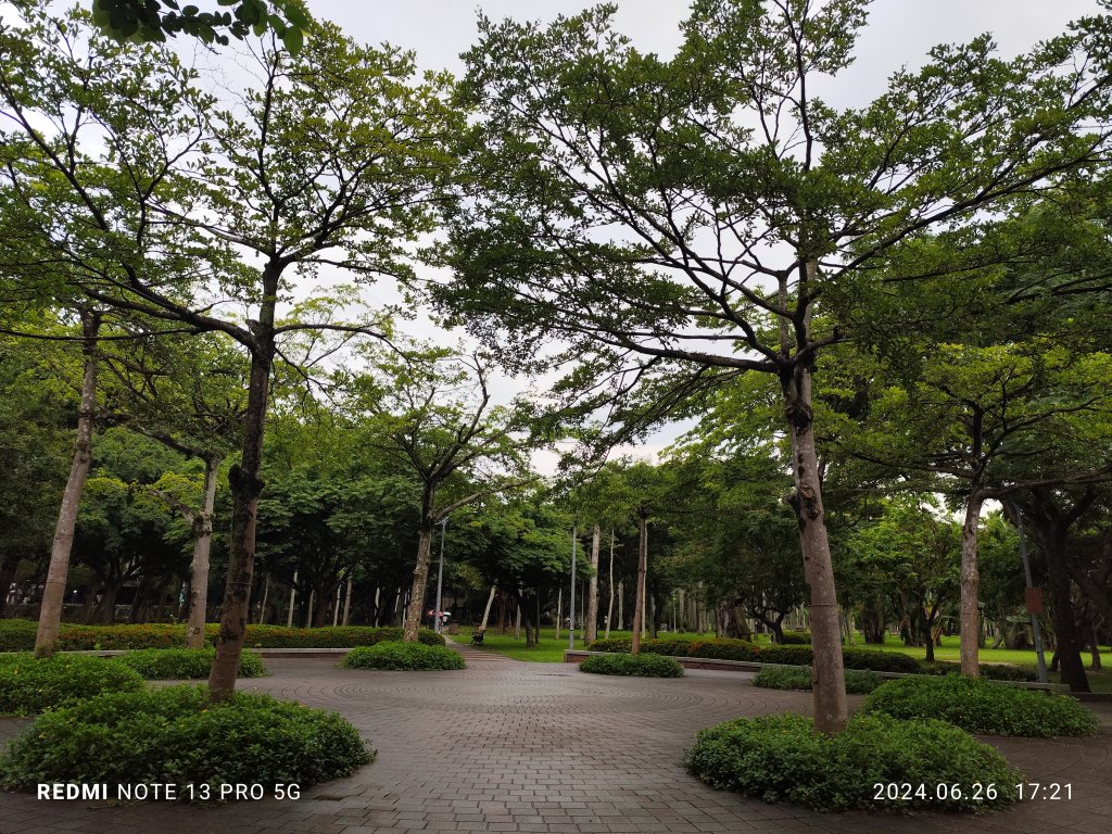 大安森林公園【走路趣尋寶】【臺北健走趣】_2536309