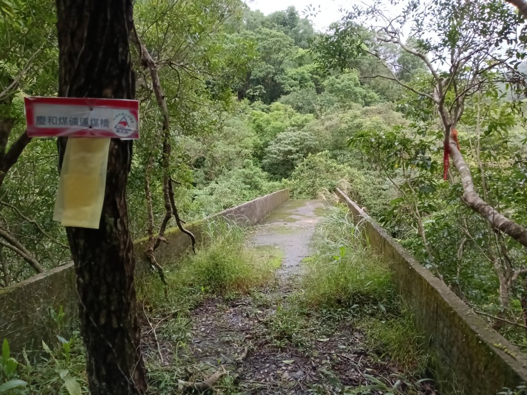 平溪區善覺寺步道+畝畝山北稜線+畝畝山+石硿子瀑布+灰窯瀑布O型_2940107