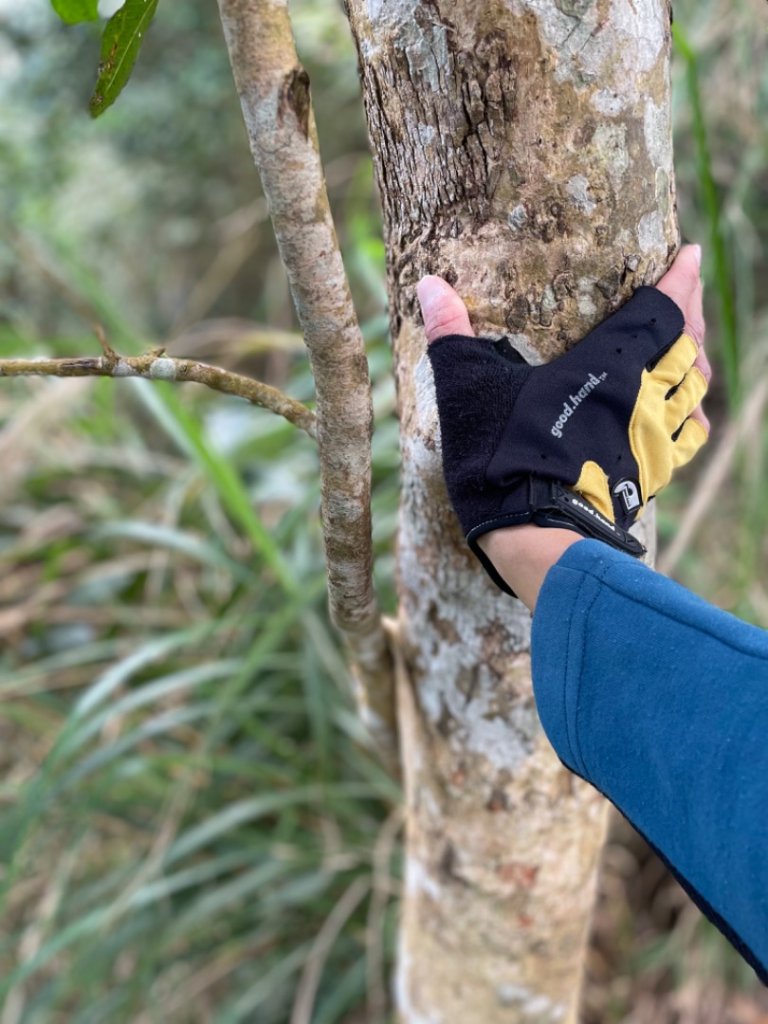 小百岳 三腳南山_2686591