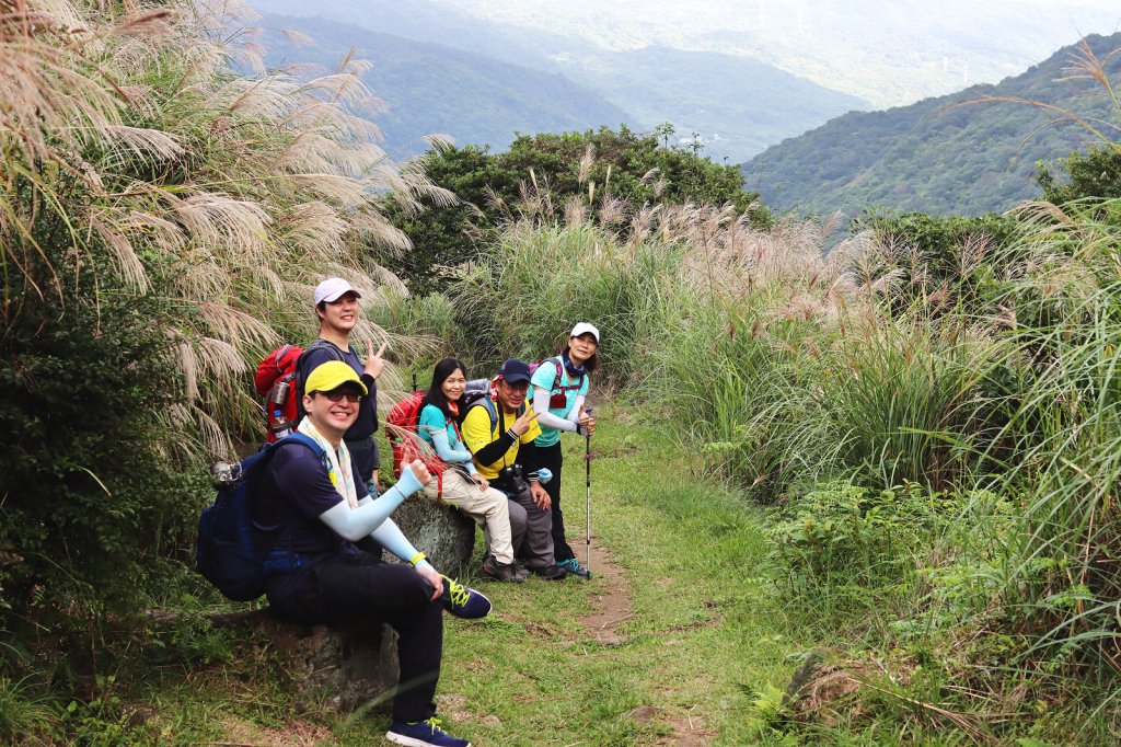 【擔魚之路】金包里大道賞秋芒_1491515