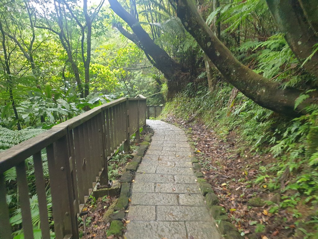 臺北大縱走第六段_1516094