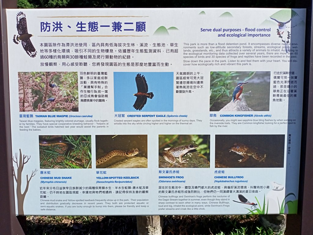 捷運大湖公園站→大溝溪→圓覺寺步道→鯉魚山小人國步道→鯉魚山東峰→鯉魚山→圓覺瀑布→圓覺寺步道→折返_1819717