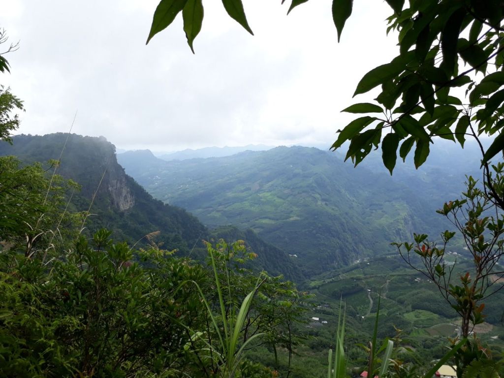 苗栗馬那邦山（珠湖線）20180630_359819