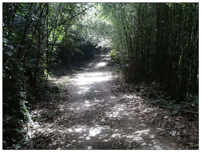 馬那邦山(小百岳)/上湖登山口_2427079