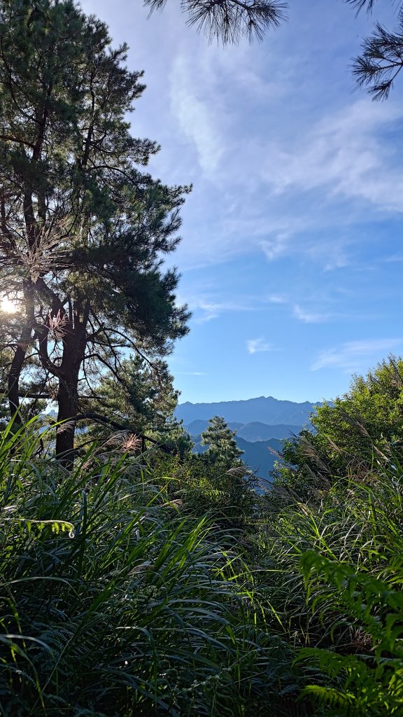 觀雪縱走_2918128