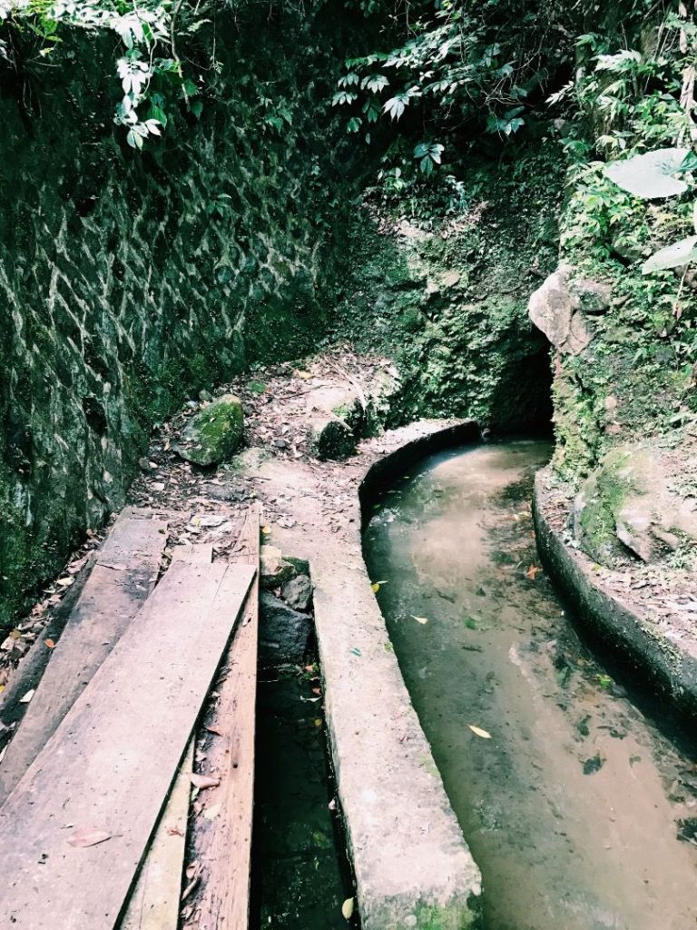 坪頂古圳親山步道_177643