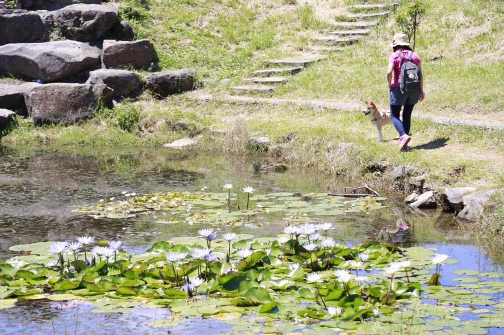 二子坪步道_136062