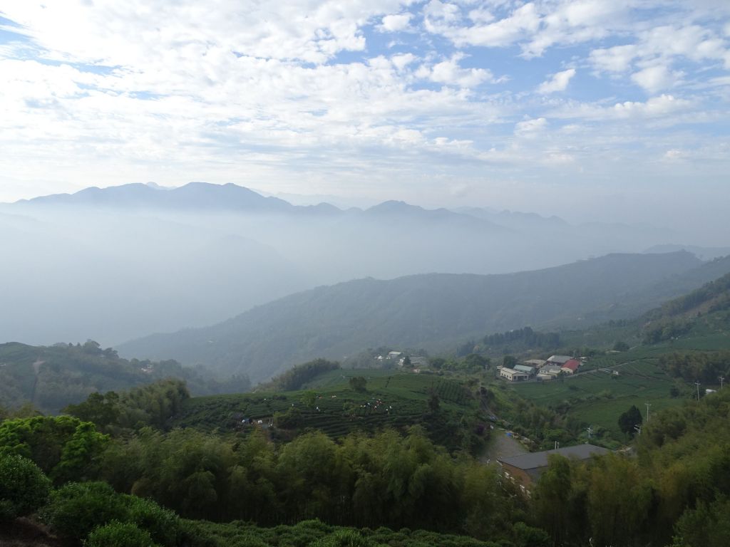 雲林古坑-大尖山 嘉義梅山-梨子腳山_316908