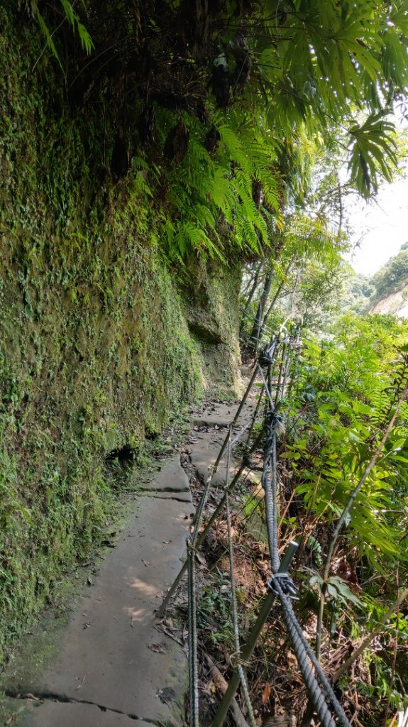 孝子山慈母峰普陀山_1117041