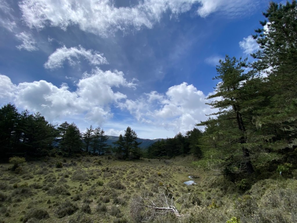 新康橫斷出瓦拉米 天天大景_1033040