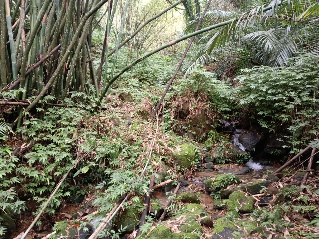 雙溪區彎穹平林山+平湖東步道+紙坑古道(億山煤礦)+紙坑山出平水聚落O型_2965791
