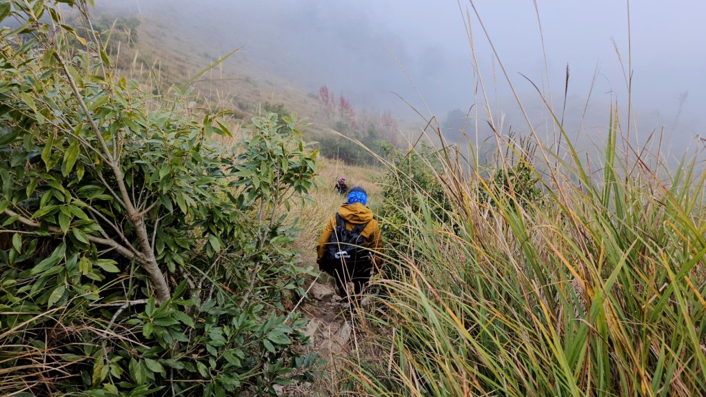 追趕跑跳蹦的羅馬縱走_2666265