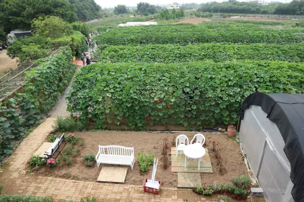 〔三芝〕桐花步道，〔淡水〕南瓜隧道_2139635