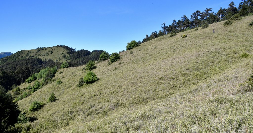 合歡越畢北——兩倍折磨一趟滿足！_1456188