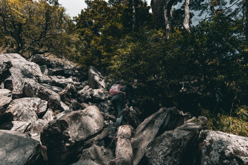 |百岳|玉山前峰_1267052