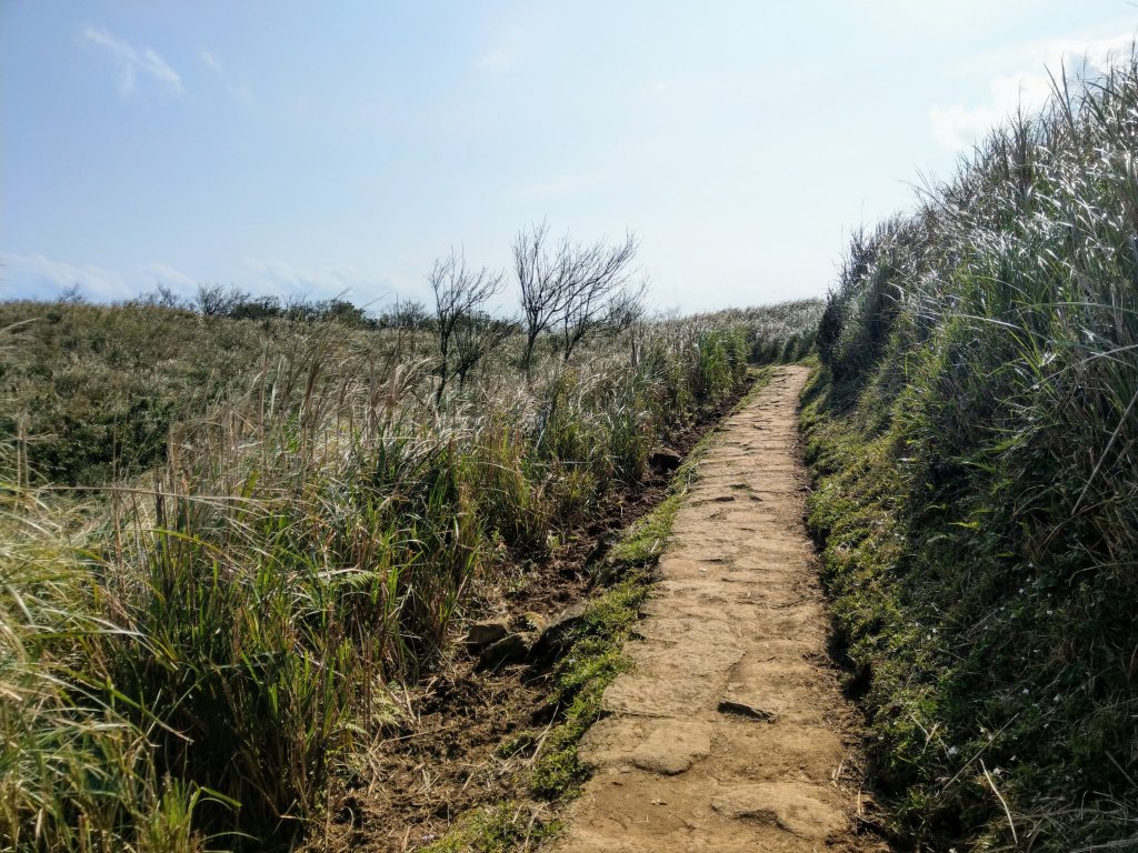 冷水坑-擎天崗環狀步道(竹嵩山)-風櫃嘴_821114