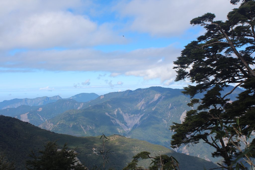 20231106高雄塔關山_2353989