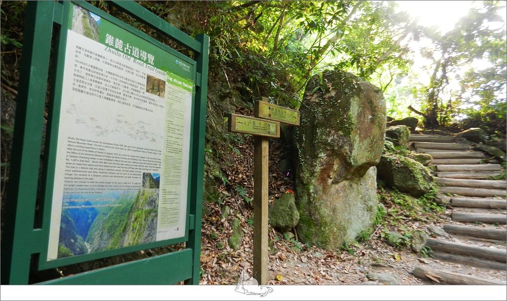 【登山健行│花蓮秀林】健行旅記，錐麓古道_965431