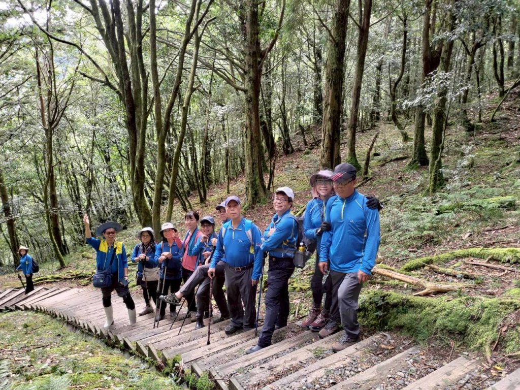 觀霧-檜山巨木群步道_2925546