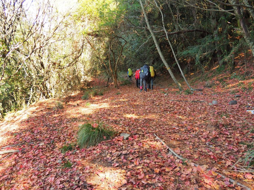 閂山鈴鳴山_235636