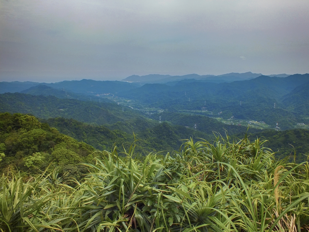 平湖森林遊樂區-(平林山 番仔坑山)_16291