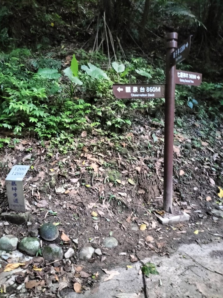 藤坪步道_2249023