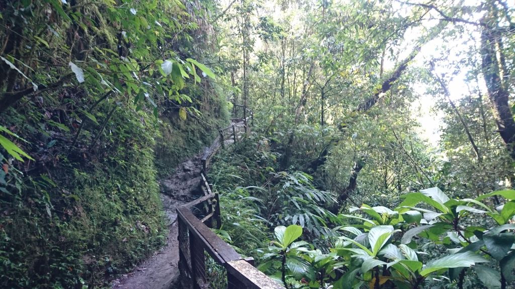 馬來西亞京那巴魯山(沙巴神山)_141925