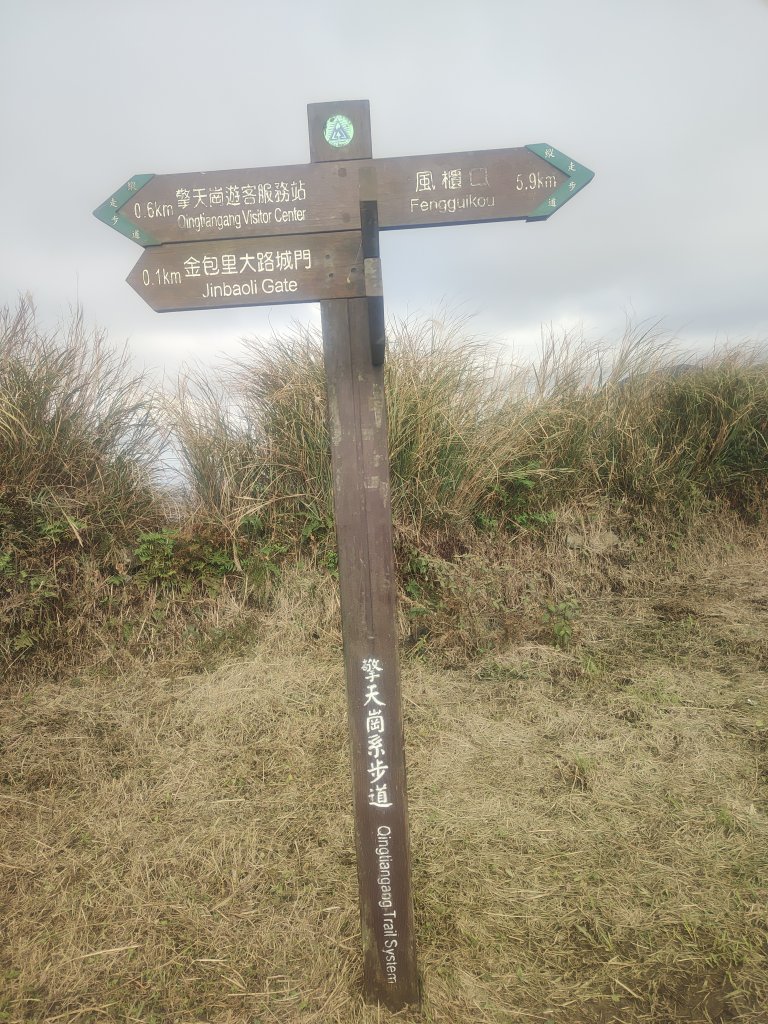 擎天崗草原_2678800