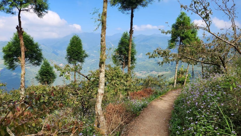 【中級山 】楓紅古戰場，馬那邦山_2742000