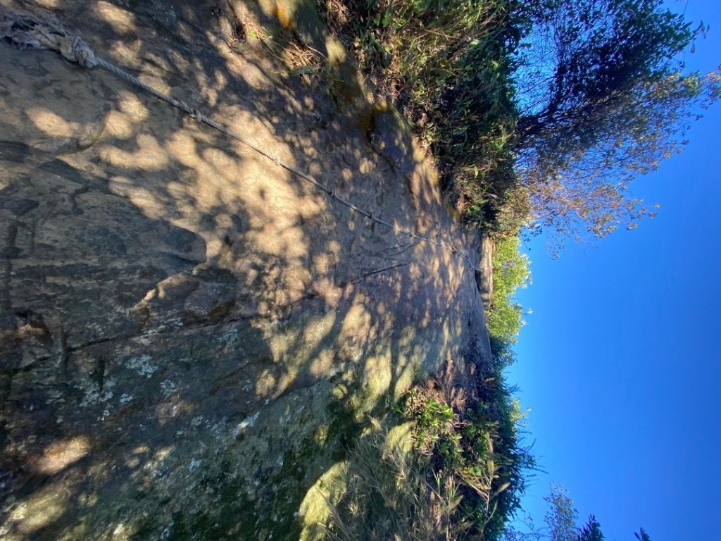 桃園大溪-打鐵寮古道-白石山_2612651