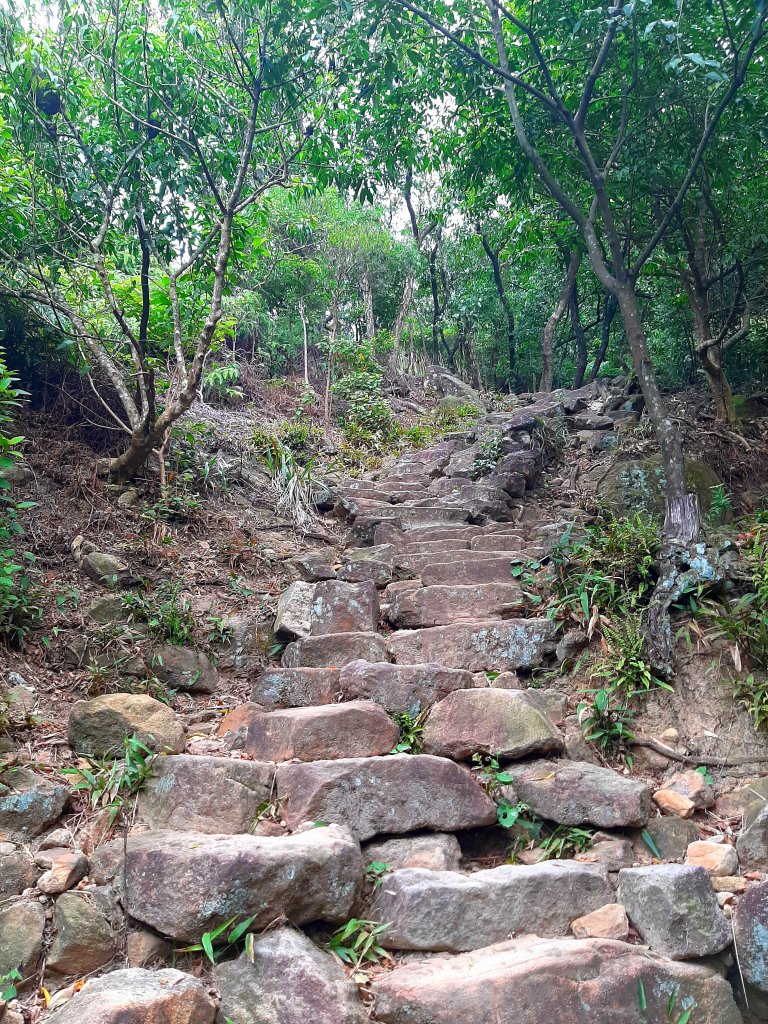 環台步道馬拉松之金面山、軍鑑岩_1920107