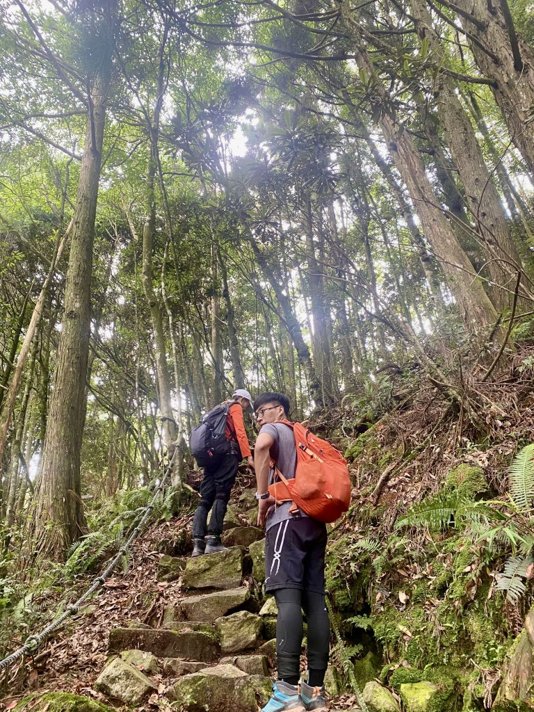 橫嶺山散步趣    2022/8/17_1809066