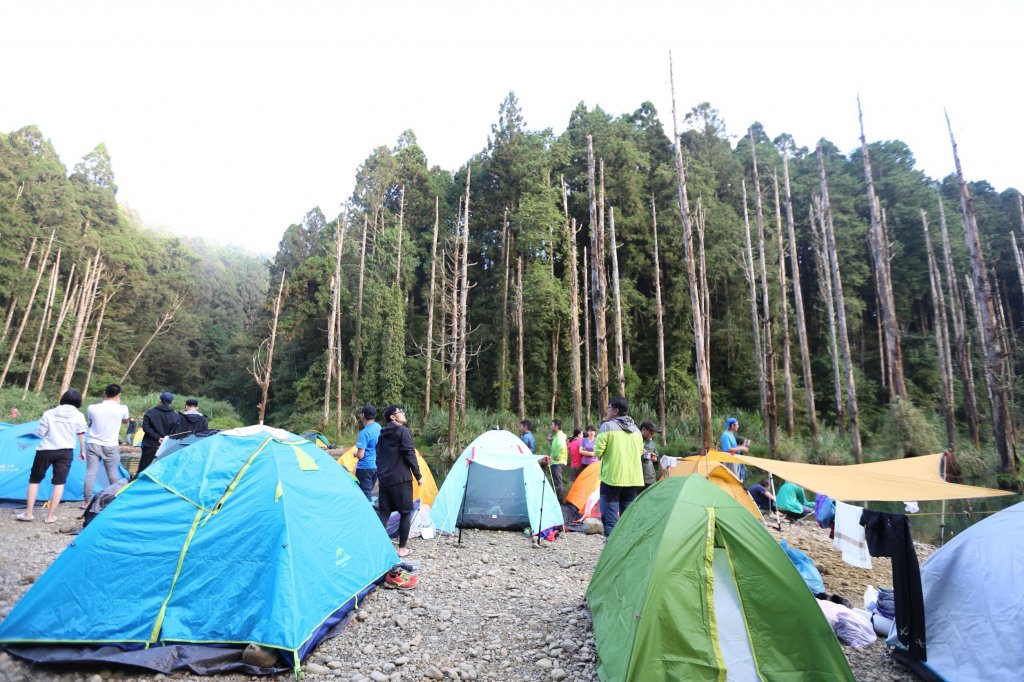 水樣森林 第一次在山裡過夜_659344