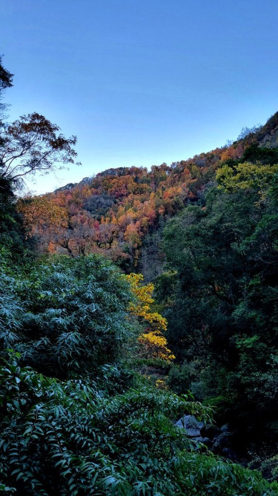 霞克羅古道封面圖