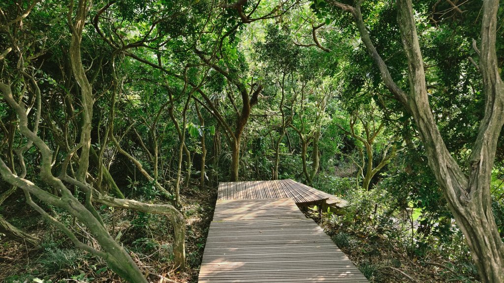 【台灣健行】壽山國家自然公園_2664205