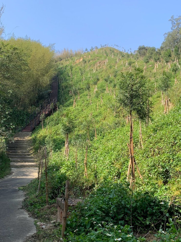 十二寮登山步道20230228_2045379