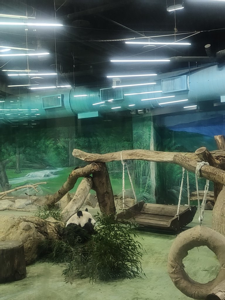 台北動物園_2664057