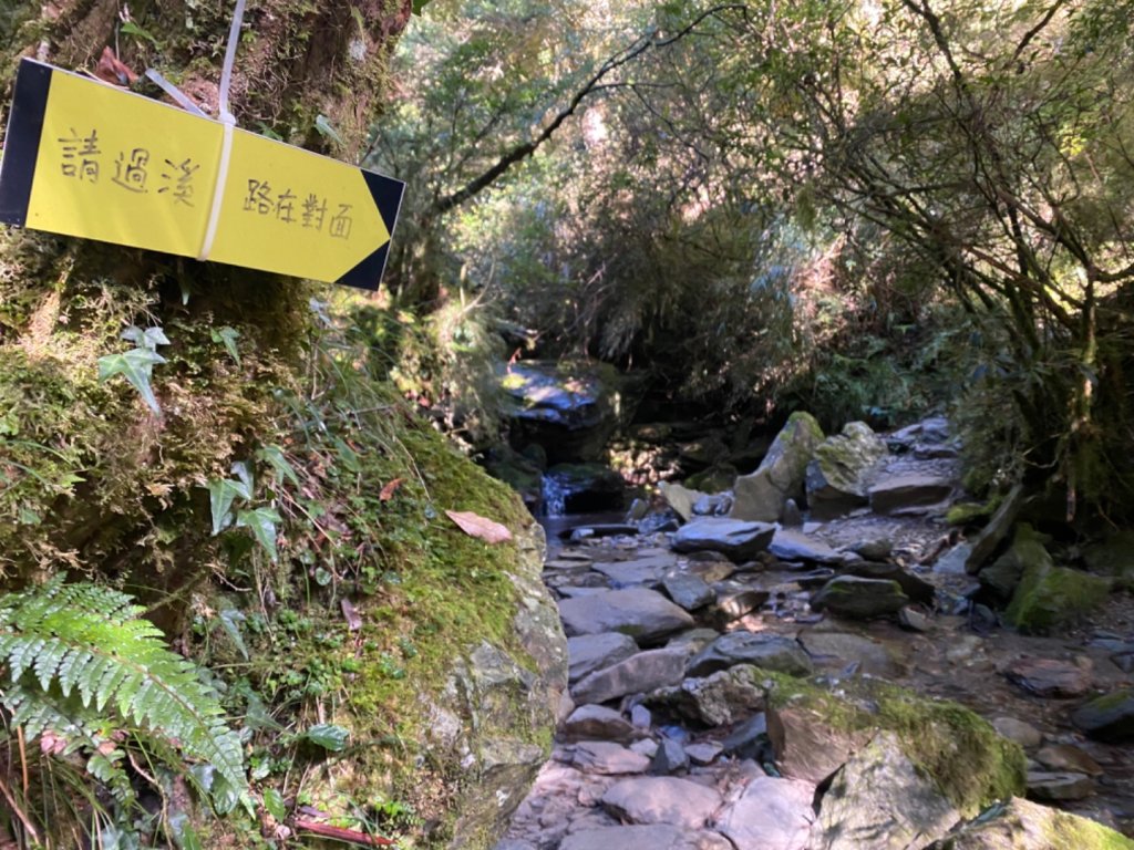 嘉明湖。泛淚的早午餐時光_1488657