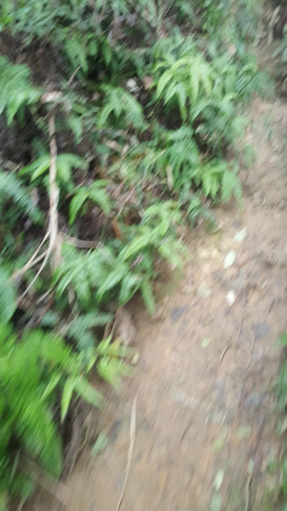 2017/12/11基隆大武崙砲台山及情人湖_222628