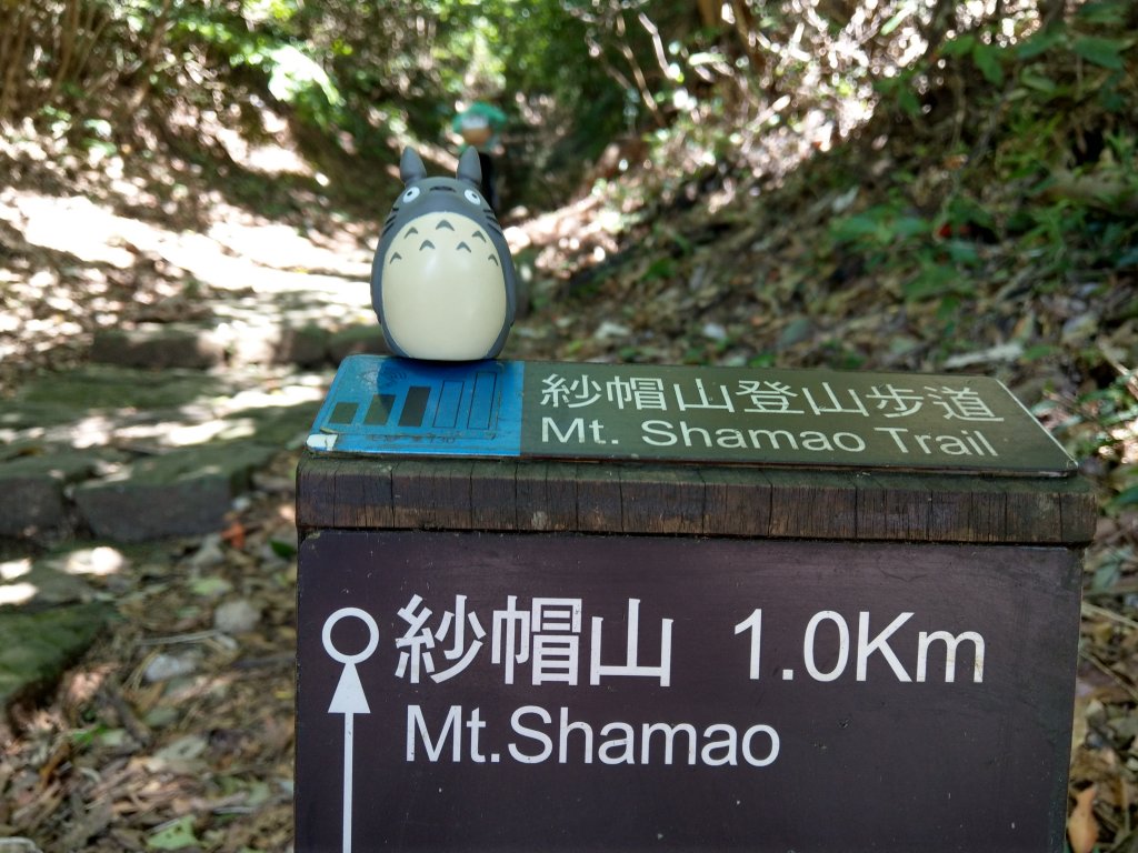 109/10/3天母古道經紗帽山上七星山_1137889