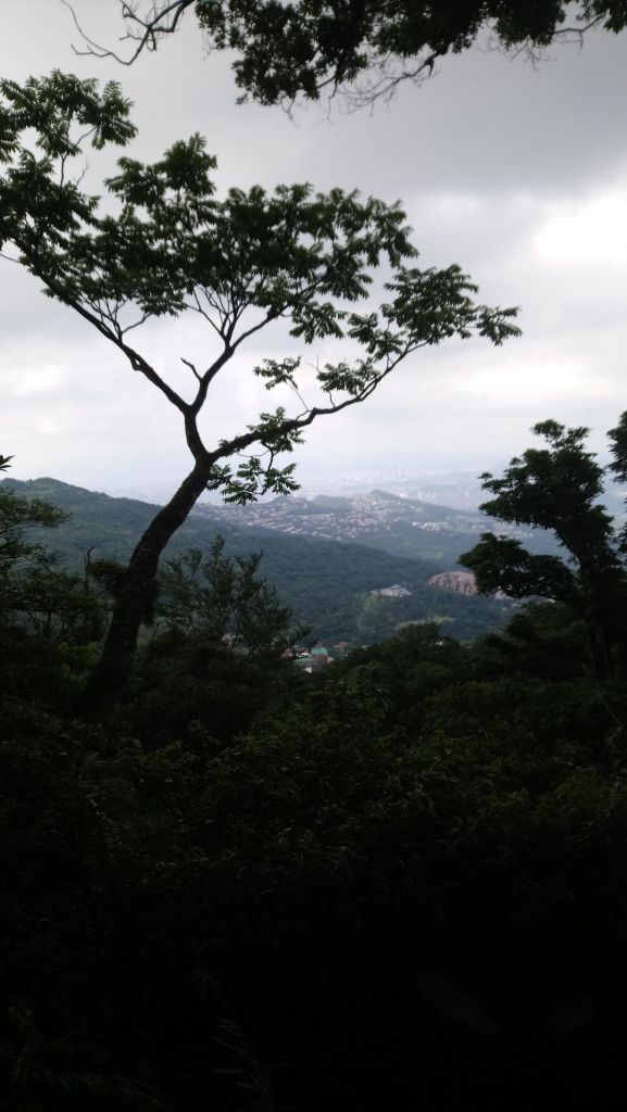 【7/1】獅仔頭山_361304