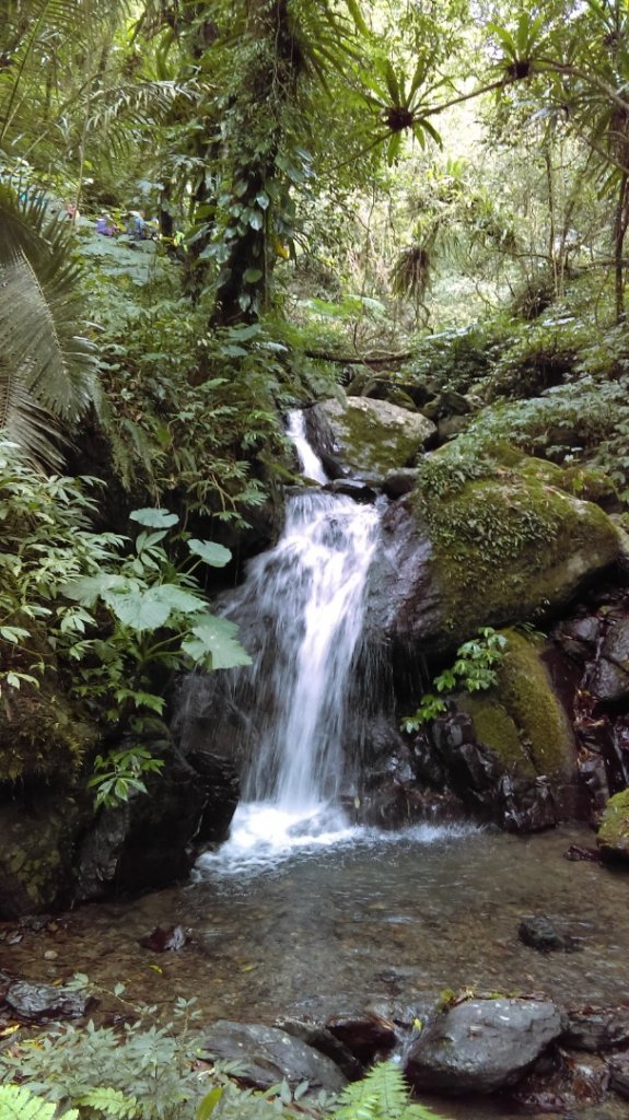 心之所嚮的礁溪聖母峰－抹茶山_880502