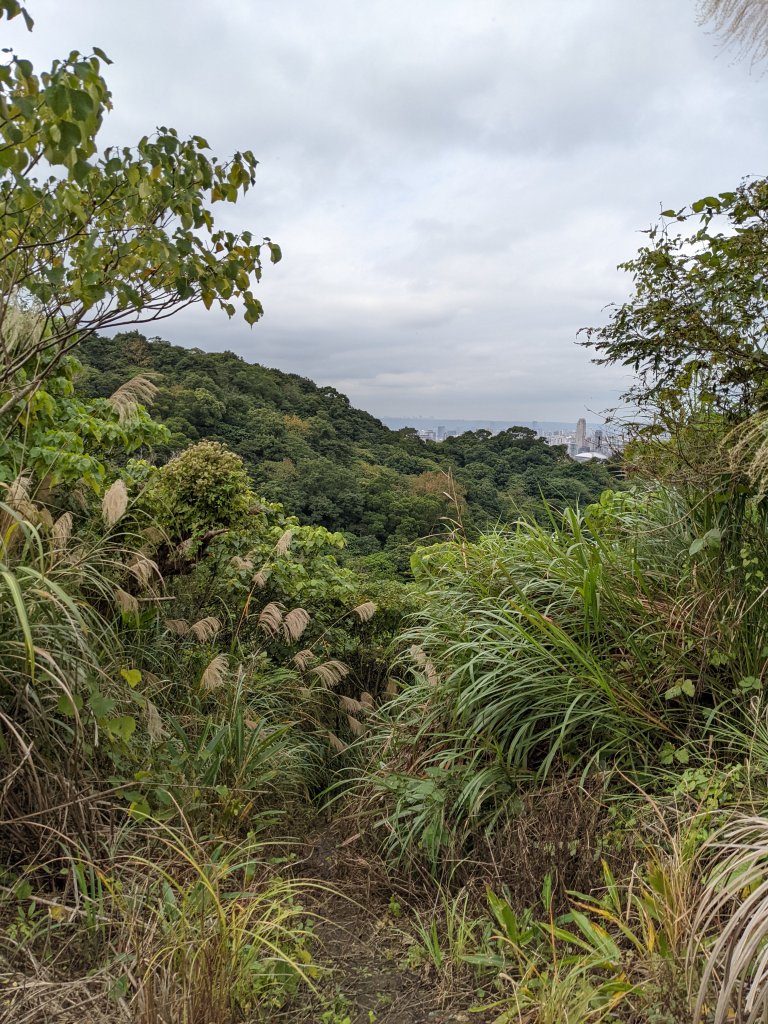 麟光至萬隆 南港山列 福州山 中埔山 芳蘭山封面圖