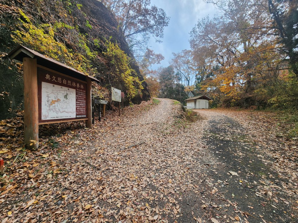 20251125登月居山遊袋田瀑布順遊舊上岡小學校_2958366