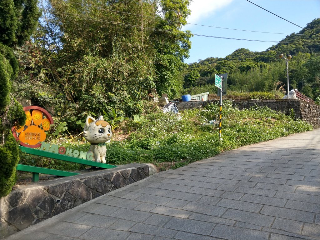 貓空隨意行［樟湖步道、待老坑山、杏花林、明德宮、樟山寺］及政大小坑溪親水文學步道(2021/4/6)_1417873