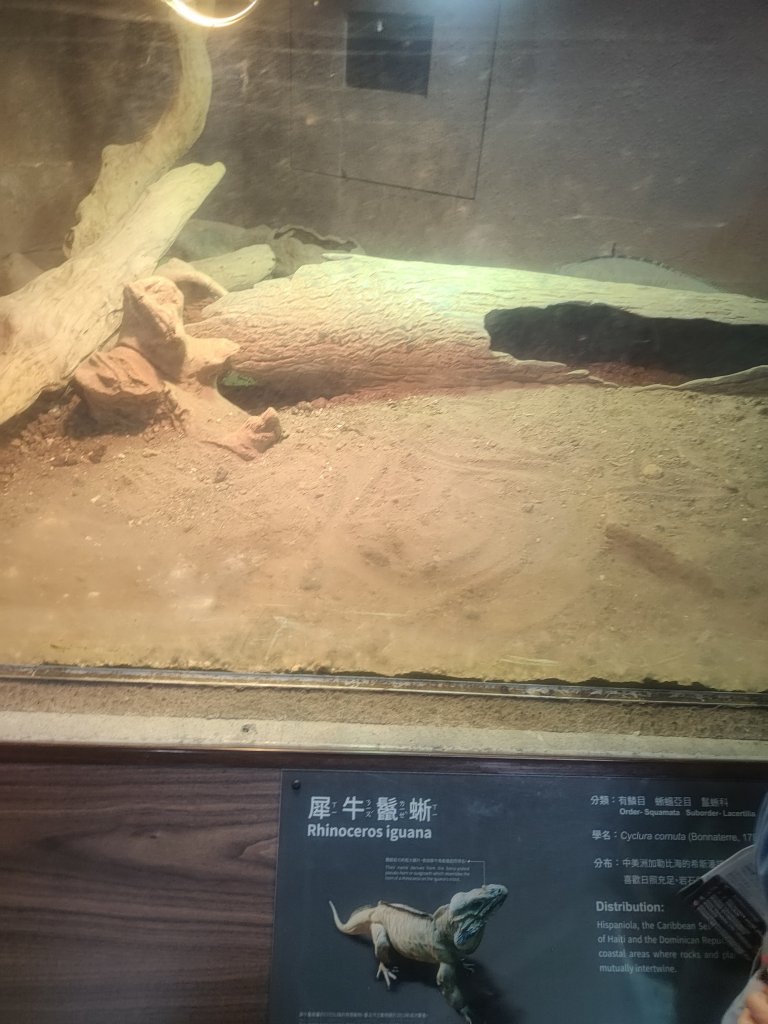 台北動物園_2664001