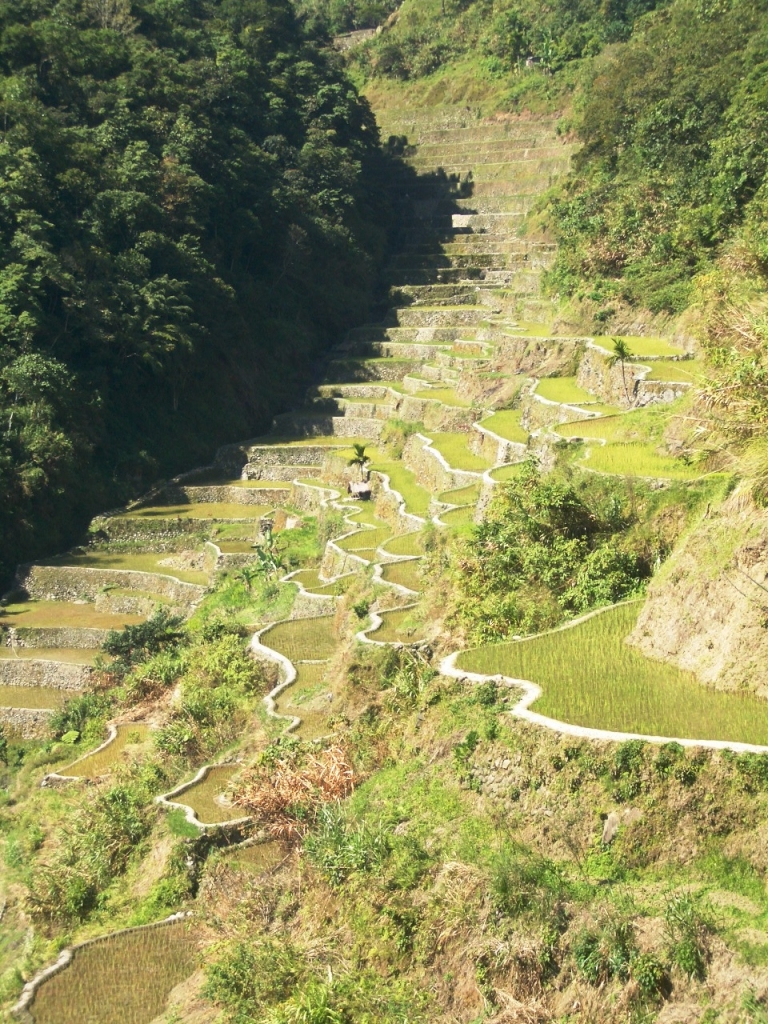 世界遺產 菲律賓 巴拿威梯田健行去_35495