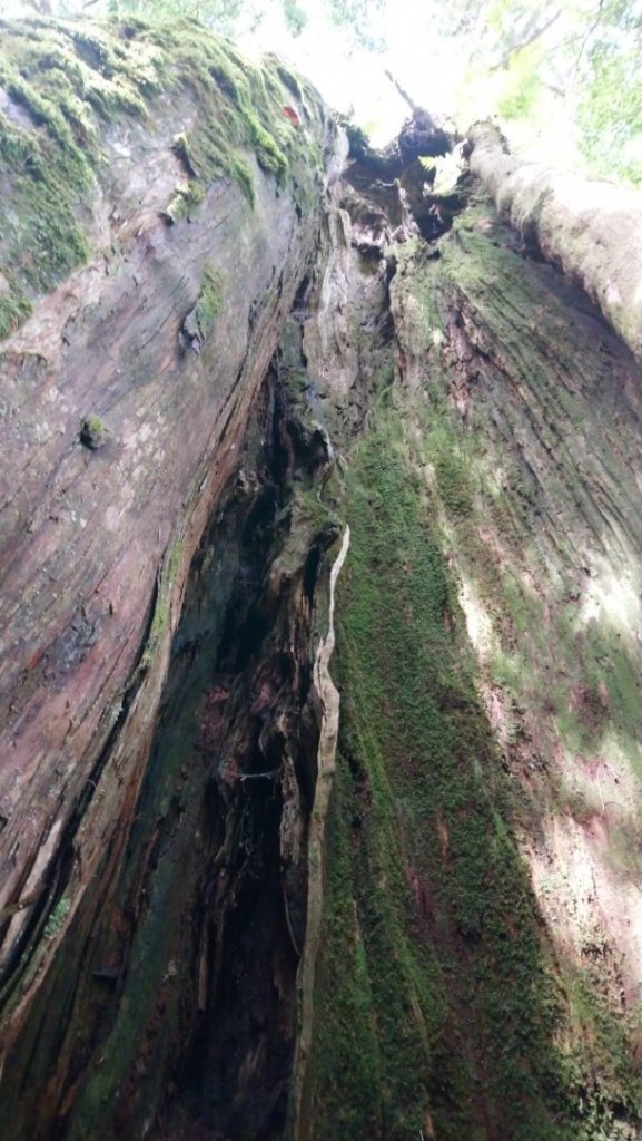 佐米縱走_1454692